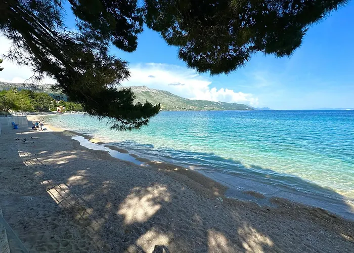 Mobile Camp Dalmata *